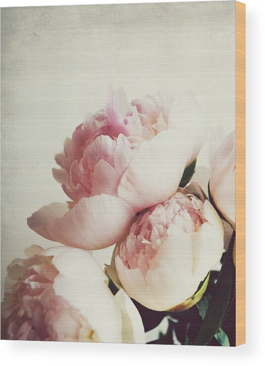 Peony Wood Print featuring the photograph Peony 1 by Lupen Grainne