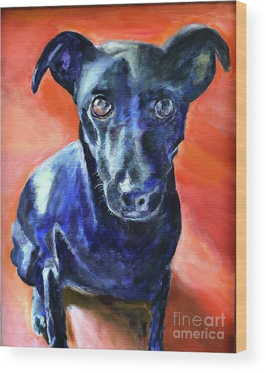 Dog Wood Print featuring the painting Peter by Kate Conaboy