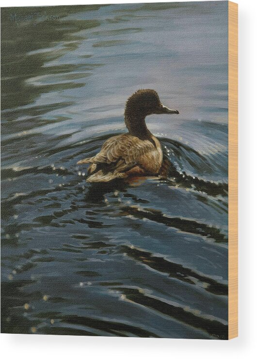 Duck Swimming Wood Print featuring the photograph Pochard 1 by Michael Jackson