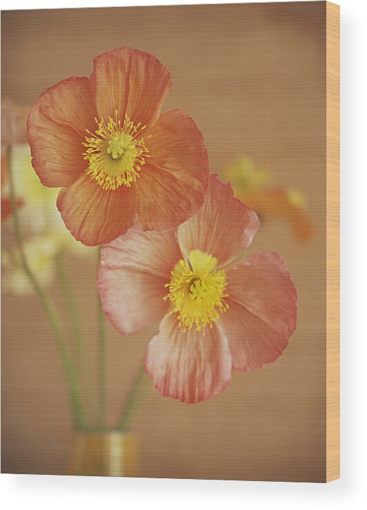 Poppy Wood Print featuring the photograph Poppy Blooms by Ray Kachatorian