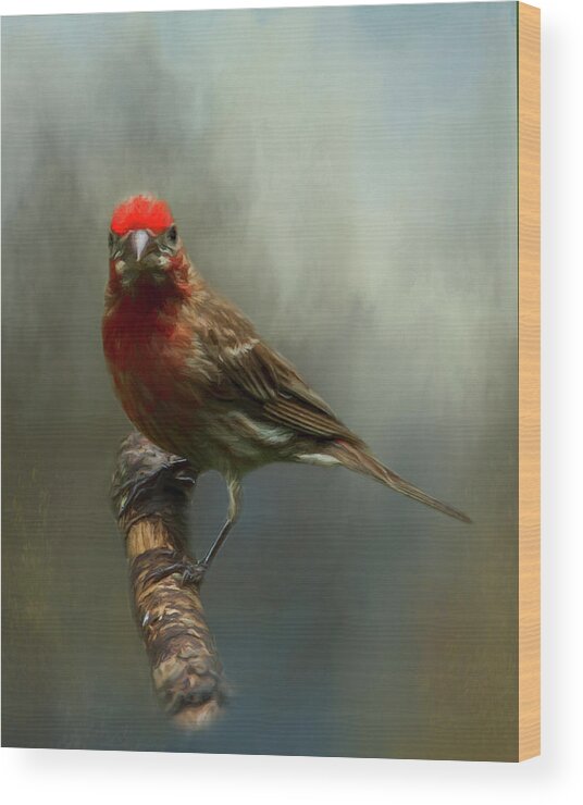 Avian Wood Print featuring the photograph Portrait of a House Finch by Cathy Kovarik