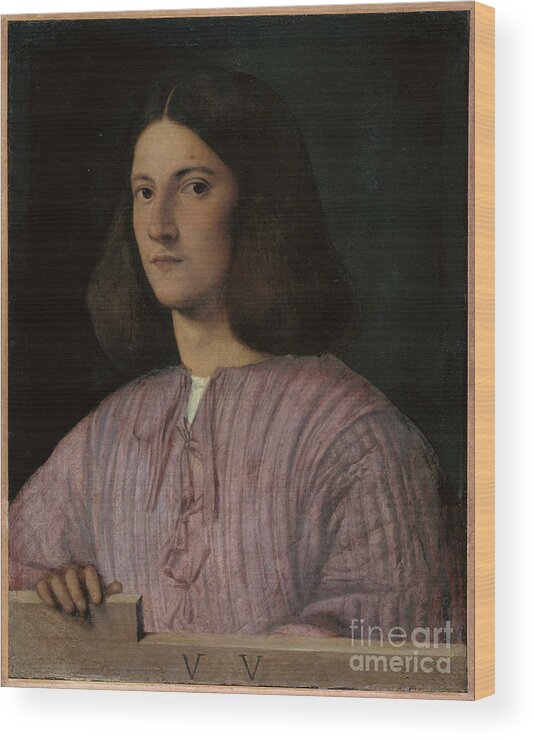Oil Painting Wood Print featuring the drawing Portrait Of A Young Man Giustiniani by Heritage Images