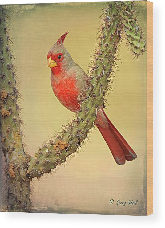 Nature Wood Print featuring the photograph Pyrrhuloxia-Filter by Gerry Sibell