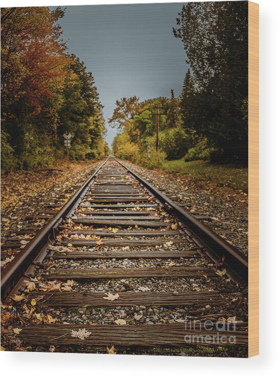 Autumn Wood Print featuring the photograph Railroad Tracks Yarmouth by Elizabeth Dow