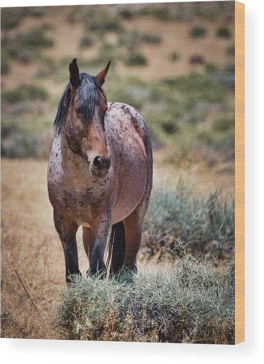 Horse Wood Print featuring the photograph Red Roan Alerted by American Landscapes