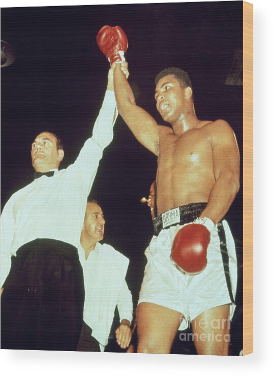 Following Wood Print featuring the photograph Referee Declaring Cassius Clay by Bettmann