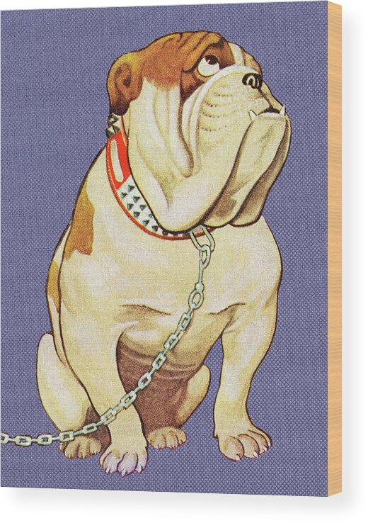 Animal Wood Print featuring the drawing Sad Bulldog Looking up by CSA Images