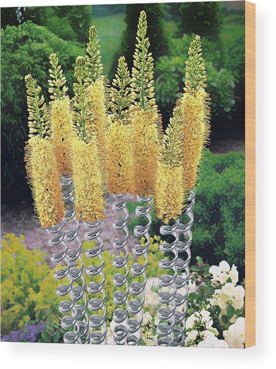 Flowers Wood Print featuring the digital art Spring Flowers by Pheasant Run Gallery