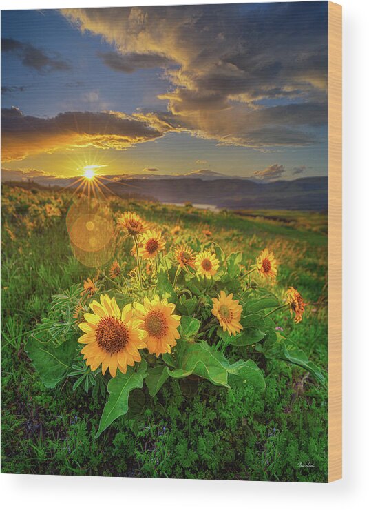 Sunset Wood Print featuring the photograph Sunset Over Rowena by Chris Steele