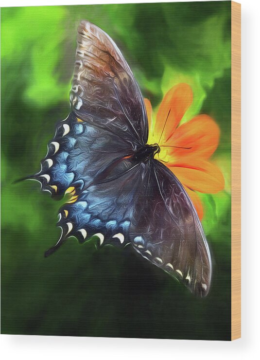 Butterfly Wood Print featuring the photograph Swallowtail Slant by Art Cole