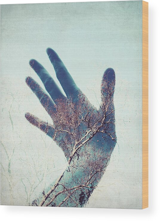 Hand Wood Print featuring the photograph Touch the Sky by Lupen Grainne