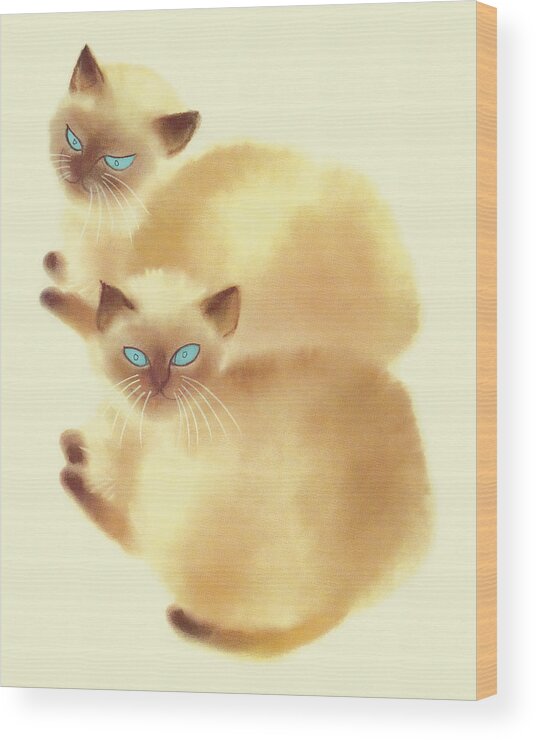 Animal Wood Print featuring the drawing Two Siamese Cats by CSA Images
