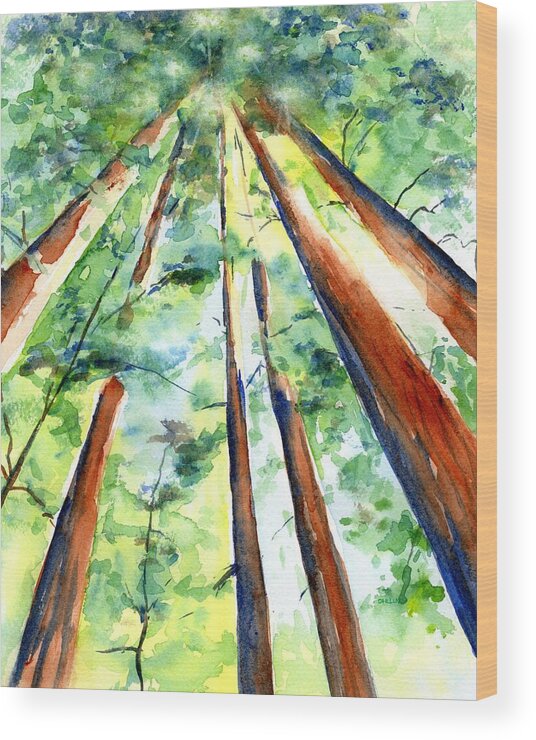 Redwood Wood Print featuring the painting Up through the Redwoods by Carlin Blahnik CarlinArtWatercolor