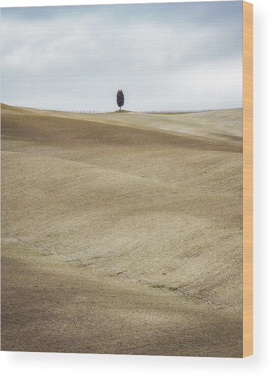 Cypress
Val Wood Print featuring the photograph Val D\'orcia Minimal by Sergio Barboni