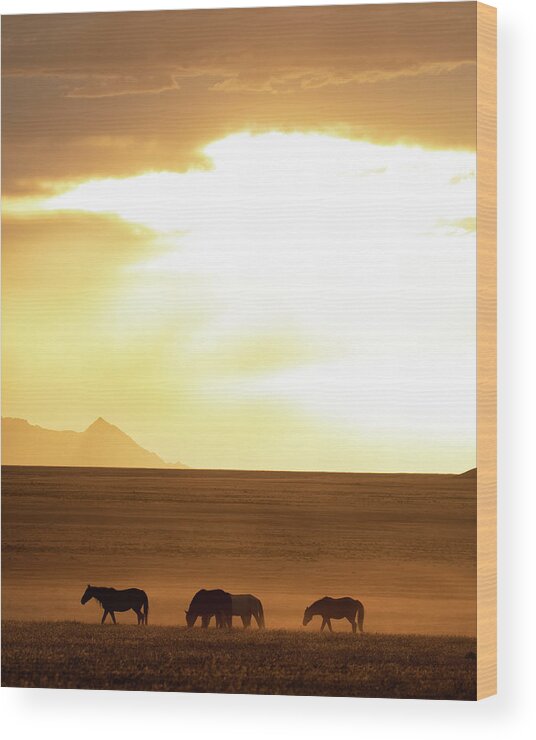 Wild Horses Wood Print featuring the photograph Vast landscape by Mary Hone