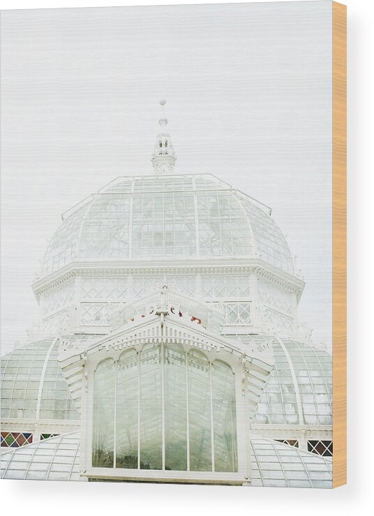 Arboretum Wood Print featuring the photograph Victorian White by Lupen Grainne