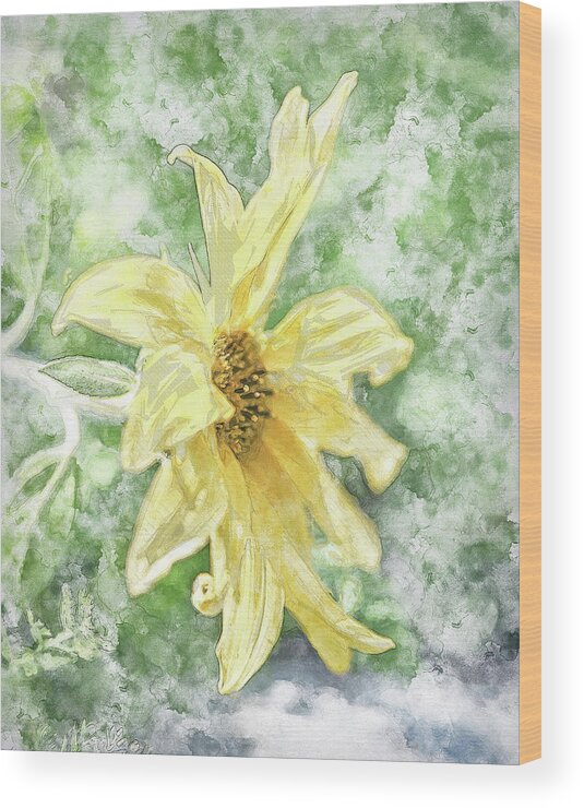 Flower Wood Print featuring the photograph Watercolor Sunshine I by Jennifer Grossnickle
