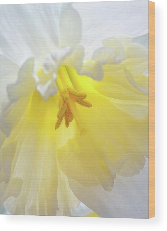 Daffodils Wood Print featuring the photograph When Daffodils Bloom by Kathi Mirto