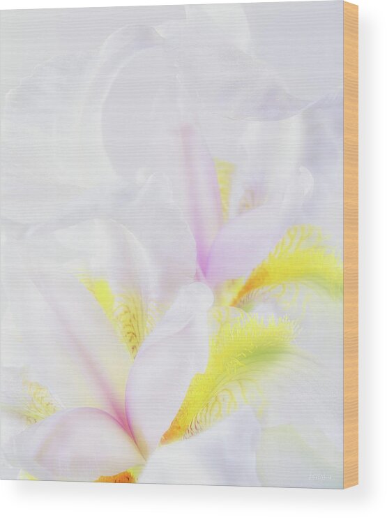 Iris Wood Print featuring the photograph White Iris by Leland D Howard