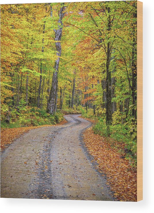 Maine Wood Print featuring the photograph Winding Road by Colin Chase
