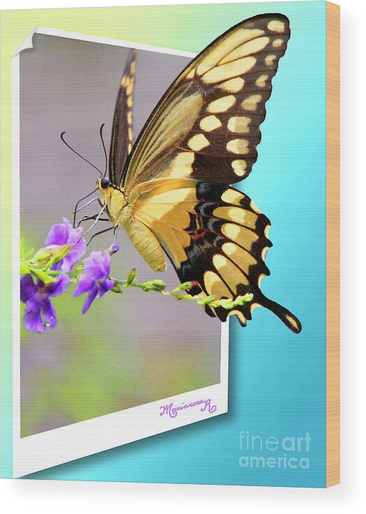 Nature Wood Print featuring the photograph Butterfly #1 by Mariarosa Rockefeller