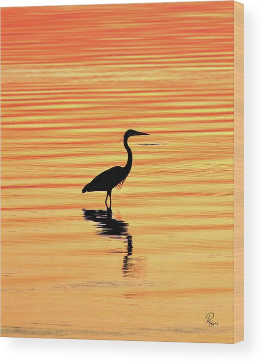 Egret Wood Print featuring the photograph Egret Silhouette by Robert Harris
