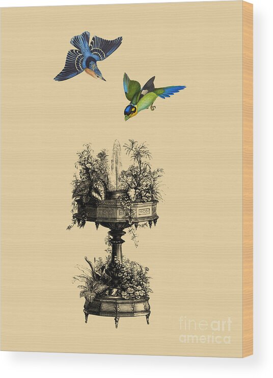 Birds Wood Print featuring the mixed media Fountain Birds #1 by Madame Memento