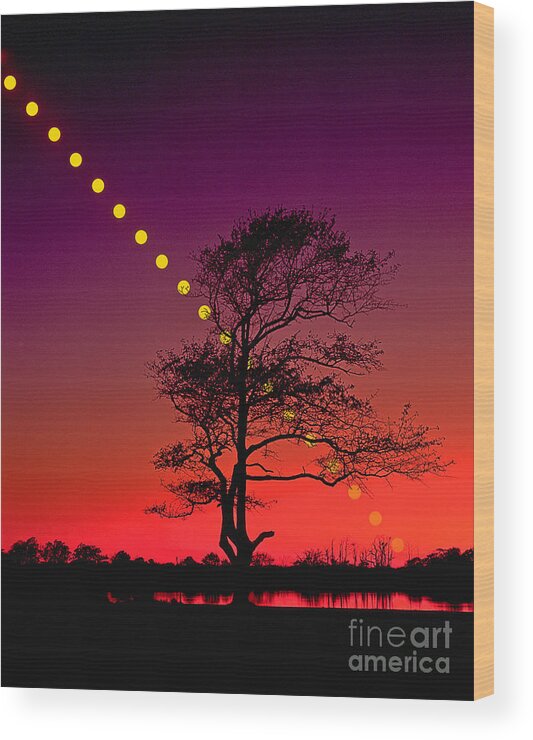 Astronomy Wood Print featuring the photograph Sunset #1 by Larry Landolfi