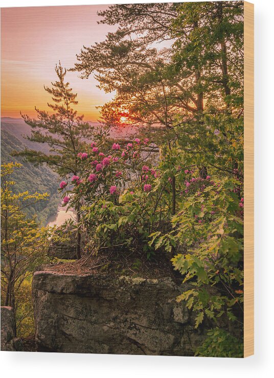 Sunset Wood Print featuring the photograph Mountain Spring Sunset #1 by SC Shank