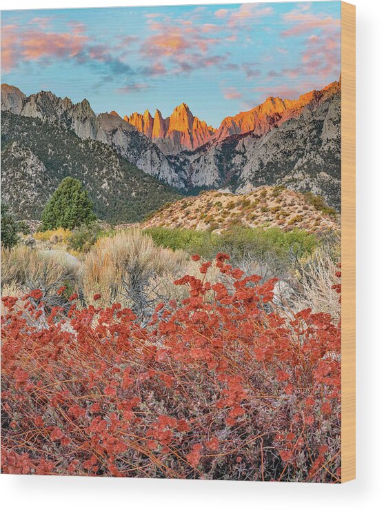 Tim Fitzharris Wood Print featuring the photograph Mount Whitney, Sequoia National Park Inyo, National Forest, California, USA #4 by Tim Fitzharris