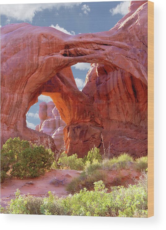 Desert Wood Print featuring the photograph A Walk Through Arches National Park 7 by Mike McGlothlen