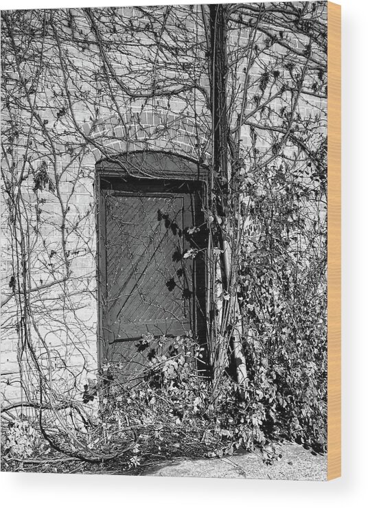 Abandoned Wood Print featuring the photograph Abandoned Door by Scott Olsen
