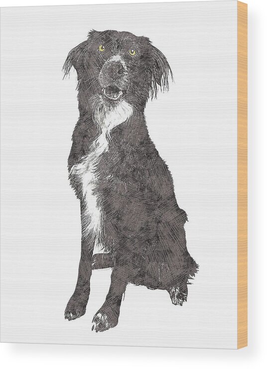 Border Collie Wood Print featuring the painting Actually so cute, Border Collie by Custom Pet Portrait Art Studio