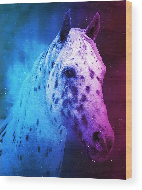 Appaloosa Wood Print featuring the digital art Appaloosa horse close up portrait in blue and violet by Nicko Prints