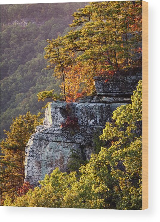 Autumn Wood Print featuring the photograph Autumn Cliff by SC Shank