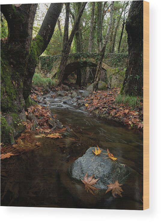 Autumn Wood Print featuring the photograph Autumn landscape with river flowing below a stoned ancient bridge by Michalakis Ppalis