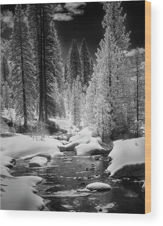 Lake Wood Print featuring the photograph Bailey Creek Infrared by Mike Lee