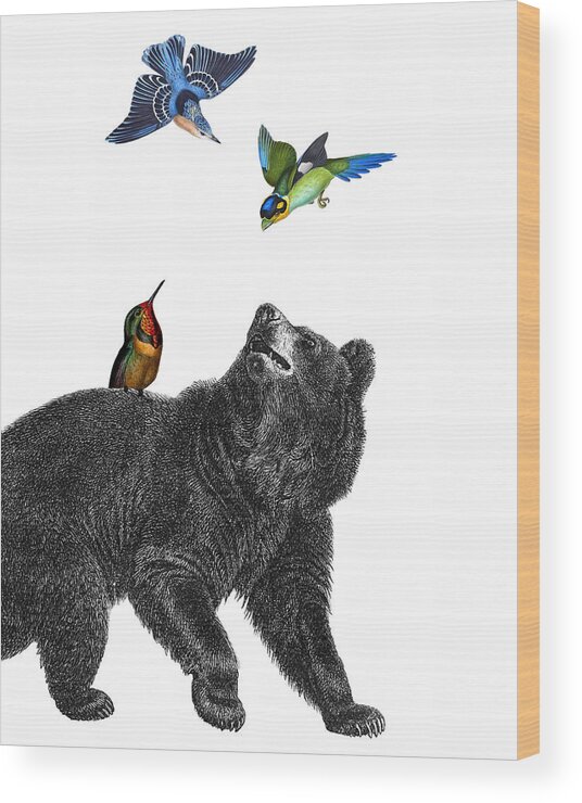 Bear Wood Print featuring the digital art Bear with birds antique illustration by Madame Memento