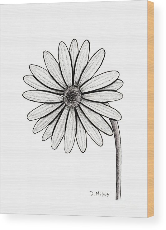 Marguerite Daisy Wood Print featuring the drawing Black and White Marguerite Daisy by Donna Mibus