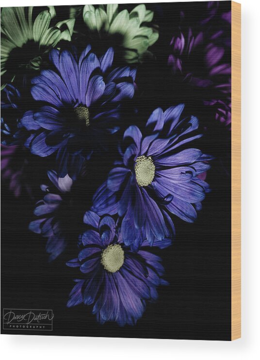 Blue Flowers Wood Print featuring the photograph Blue Chrysanthemum by Darcy Dietrich