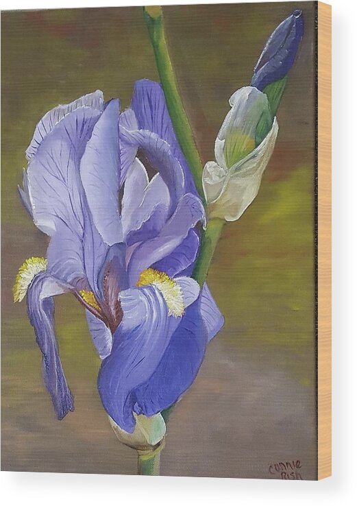 Iris Painting Wood Print featuring the painting Blue Violet Iris by Connie Rish