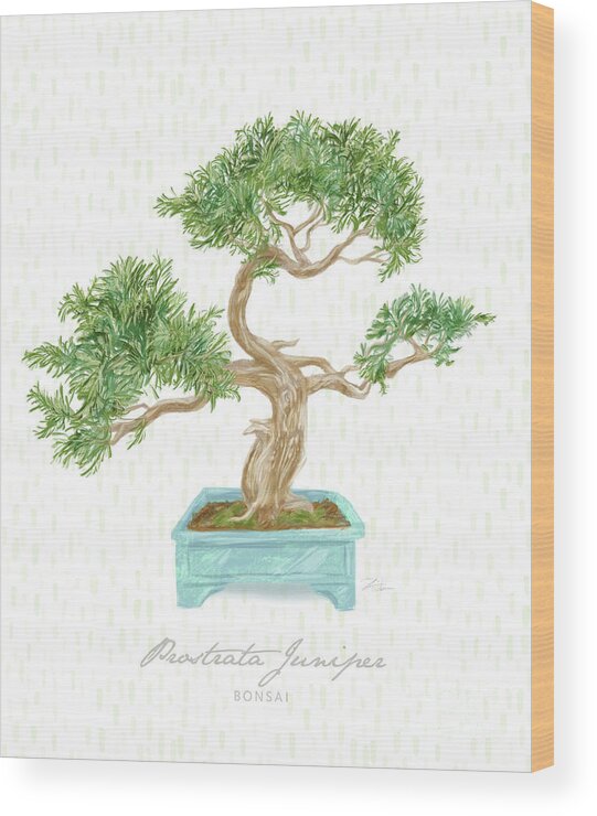 Bonsai Wood Print featuring the mixed media Bonsai Trees - Prostrata Juniper by Shari Warren