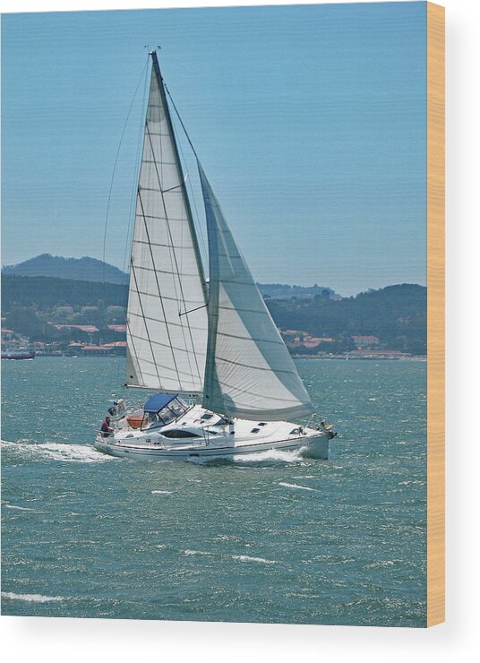 Sailboat Wood Print featuring the photograph Born to Sail by Connie Fox