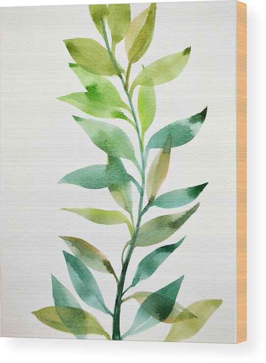 Botanical Art Wood Print featuring the painting Botanical #2 by Amy Giacomelli