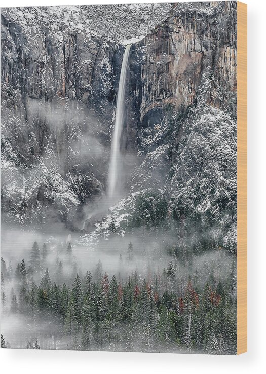 Bridalveil Fall Wood Print featuring the photograph Bridalveil Fall in the fog by Rudy Wilms