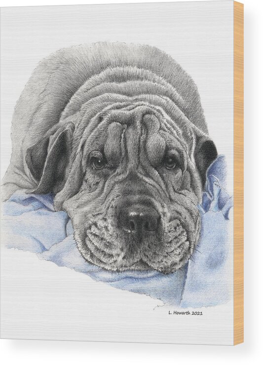 Dog Wood Print featuring the drawing Bubba by Louise Howarth