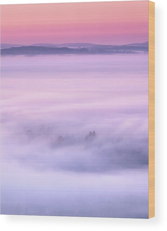 Fog Wood Print featuring the photograph City of Fog by Shelby Erickson