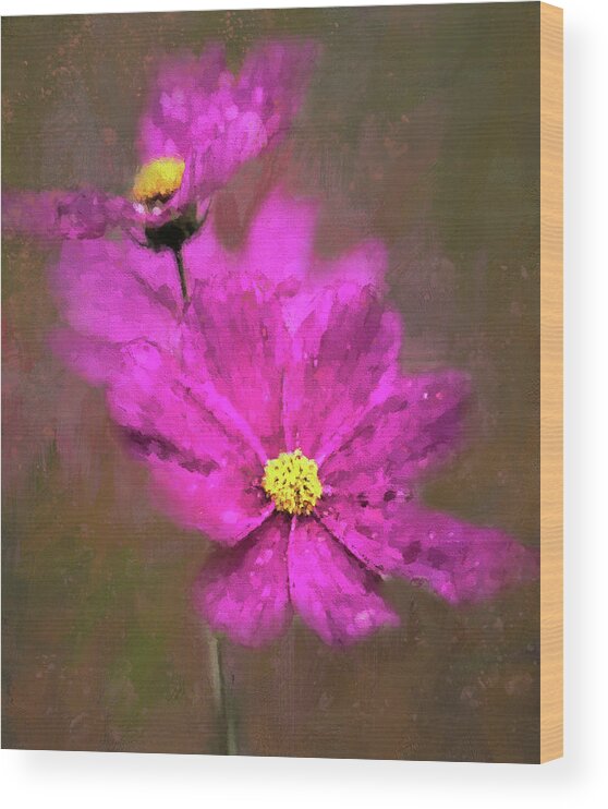 Cosmos Wood Print featuring the photograph Colorful Cosmos by HH Photography of Florida