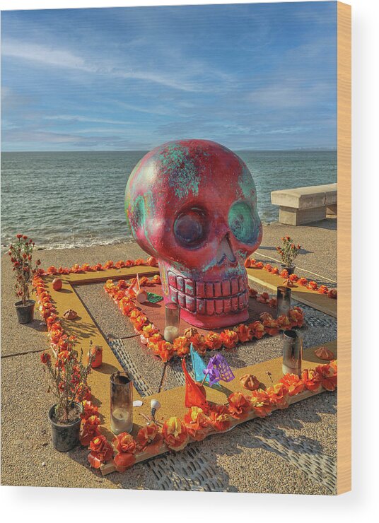 Skull Wood Print featuring the photograph Colorful Red Skull by Lorraine Baum
