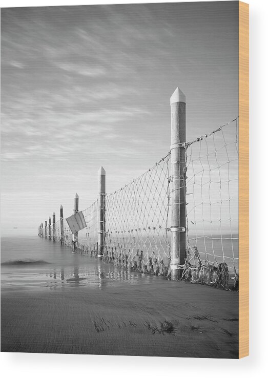 San Diego Wood Print featuring the photograph Coronado Navy Fence by William Dunigan